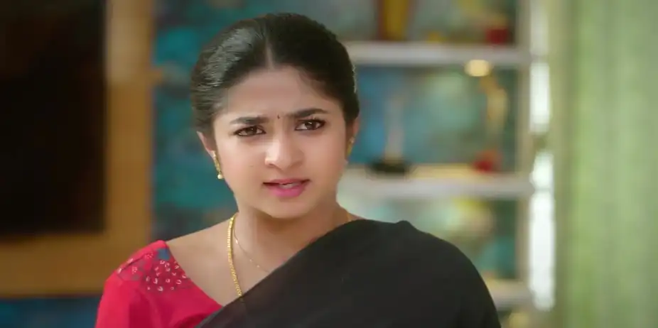 Karna Stops Divakaran - Chinnan Siru Kiliye