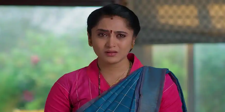 Meghasandesam - February 11, 2026 - Best Scene