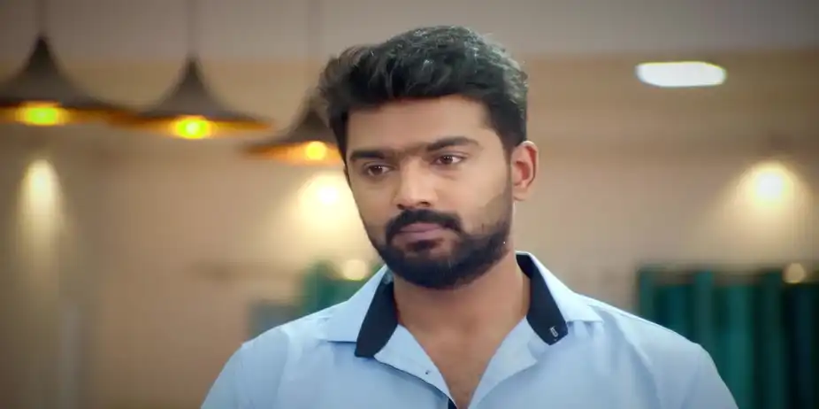 Siva Comforts Ayali - Ayali