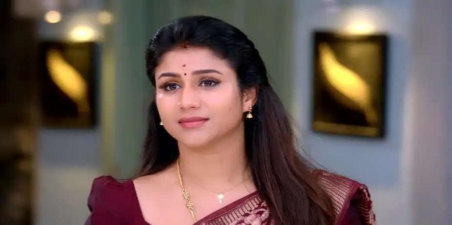 Chintamani Suspects Raghav - Paarijatham