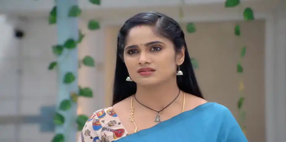 Ayali Comforts Paavai - Ayali