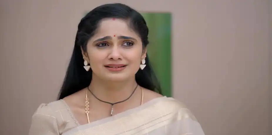 Chellamma Hurts Ayali with Her Words - Ayali
