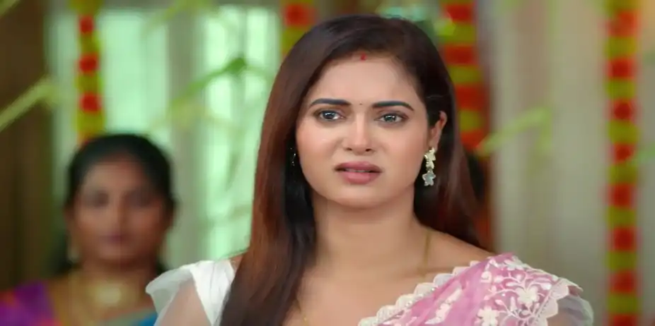 Ramaniamma Condemns Dhanalakshmi - Sandhya Raagam