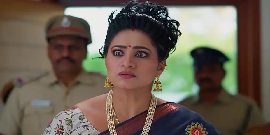 Meghasandesam - February 27, 2026 - Best Scene