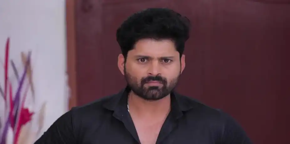 Nandini Shields Mithra