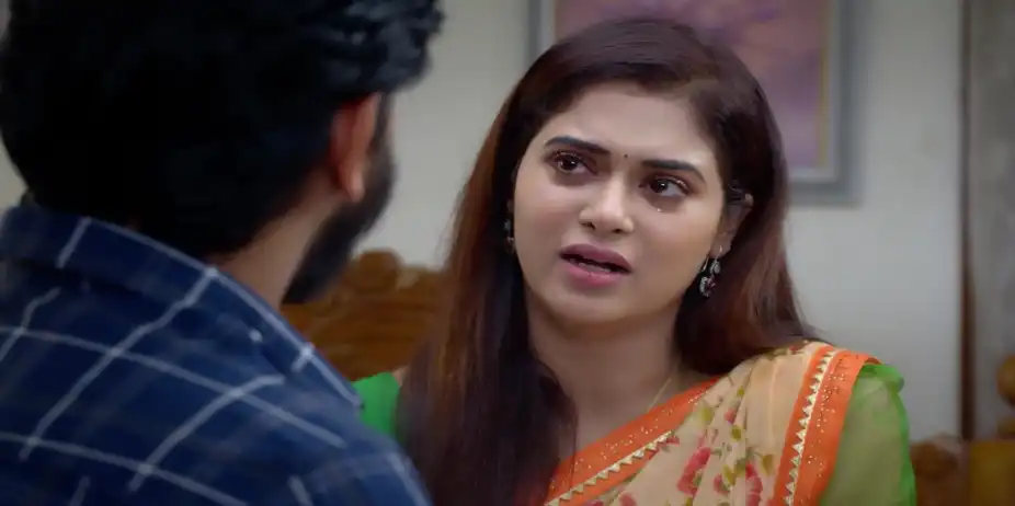 Seenu Comforts Maya - Sandhya Raagam