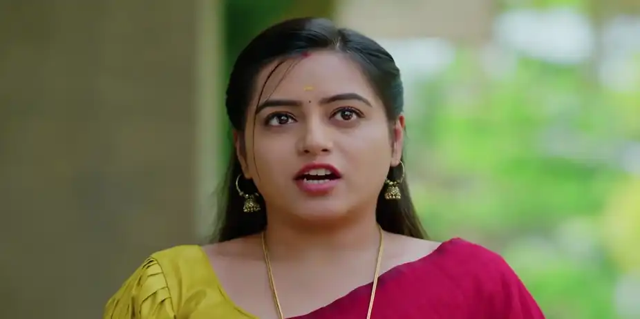 Rithika Refuses to Let Ambika Give an Interview - Akale