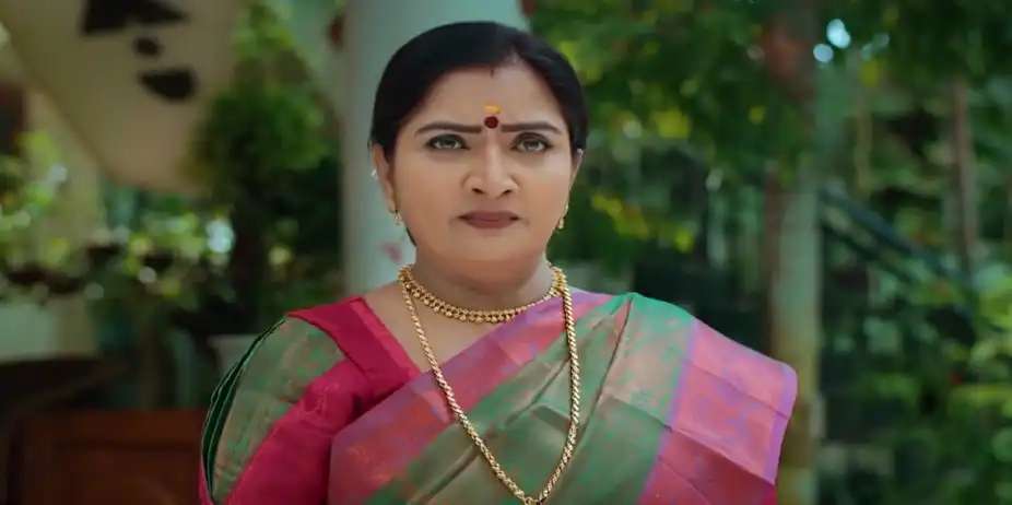 Jayabharathy's Words Shock Muthassi - Snehapoorvam Shyama