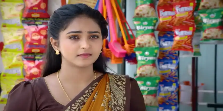 The Store Owner Agrees to Help Dhanalakshmi - Sandhya Raagam