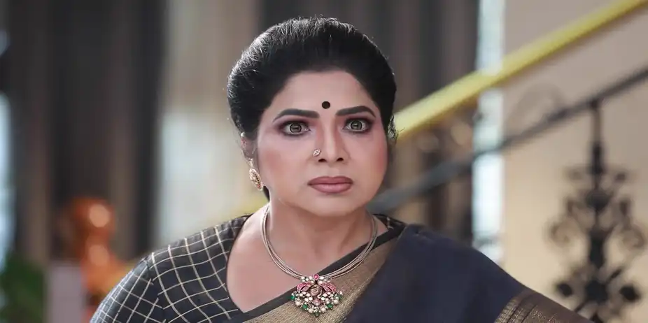 Meena Lashes out at Tamil - Varisu