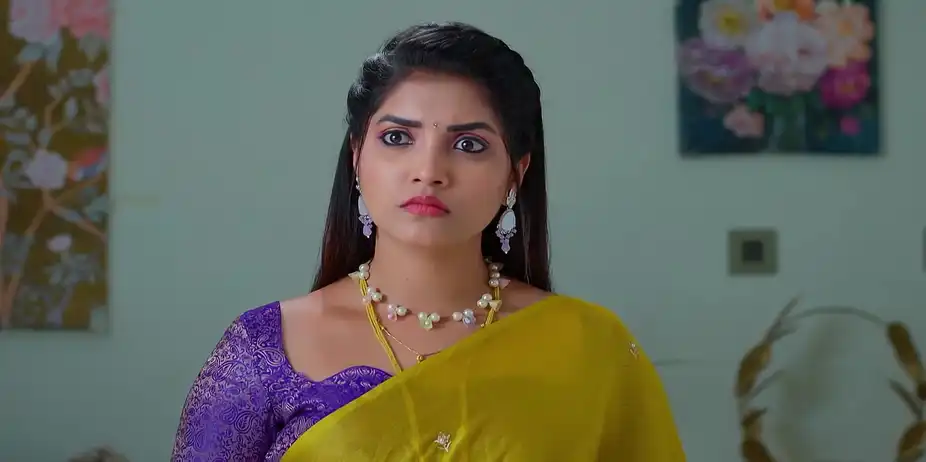 Meghasandesam - March 25, 2026 - Best Scene