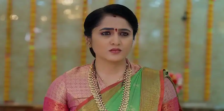 Meghasandesam - March 27, 2026 - Best Scene