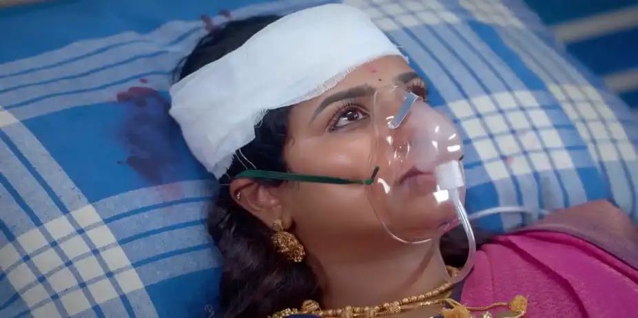 Karthikeyan's Claim to Revathi - Karthigai Deepam