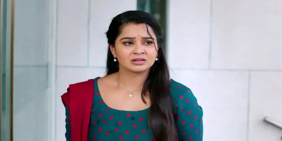 Krishna Rukku - March 24, 2026 - Best Scene