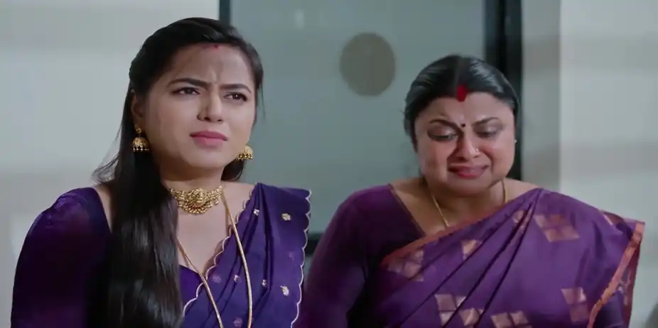 Harish Blames Radha for Sree's Plight - Akale