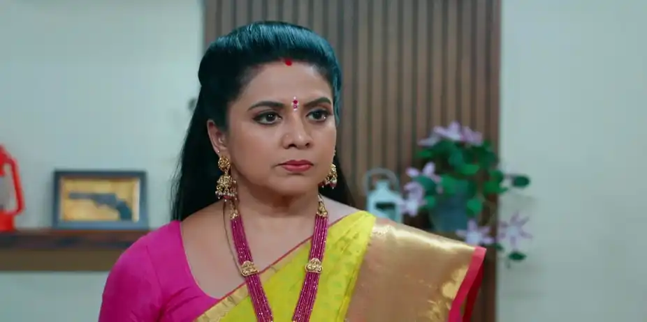 Ramadevi Has a Word with Anasuya - Chembarathy