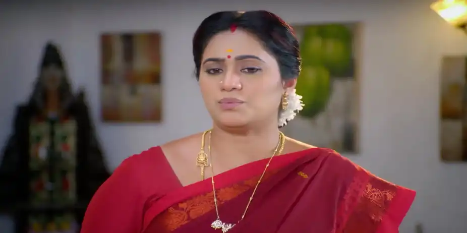 Raghuram Reassures Janaki - Sandhya Raagam