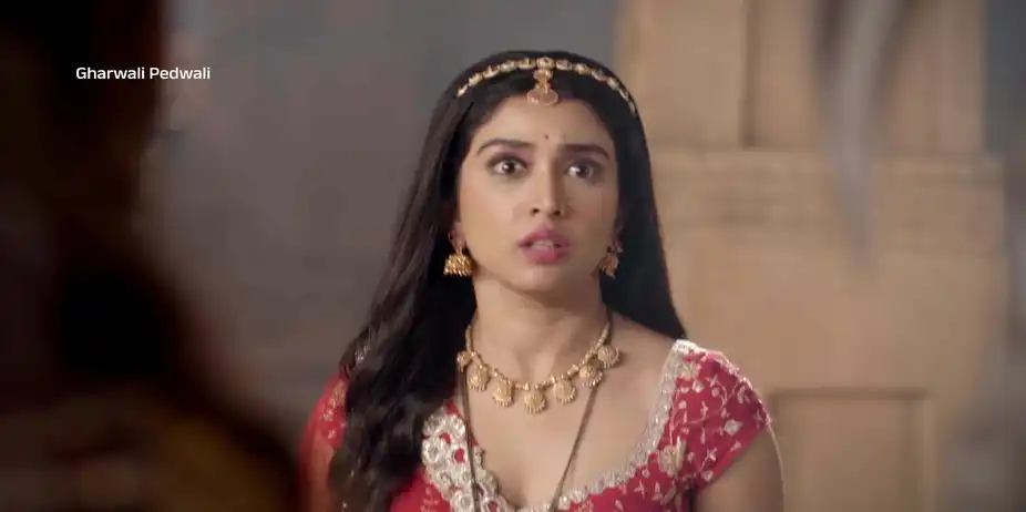 Gharwali Pedwali - Promo