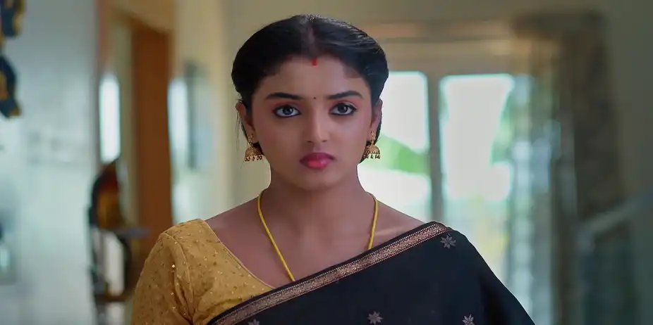 Meghasandesam - April 08, 2026 - Best Scene