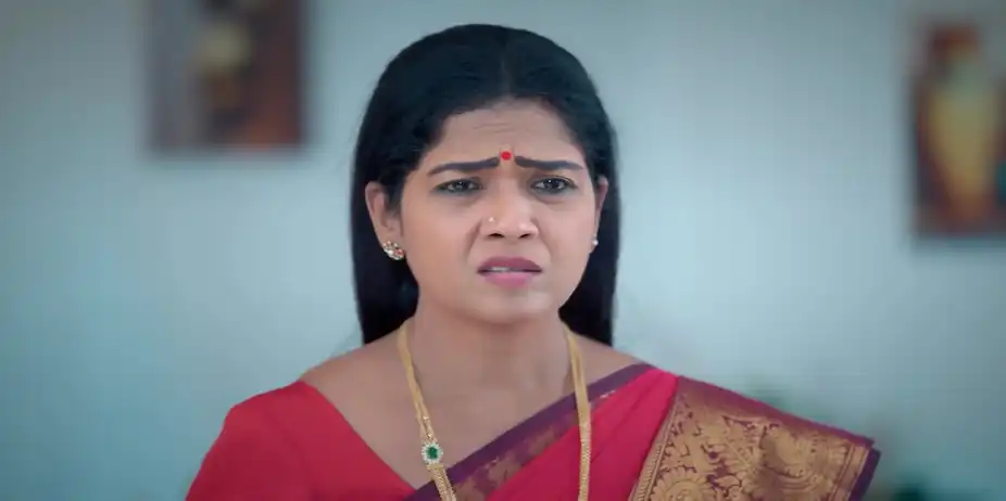Veera Gets Suspicious - Veera