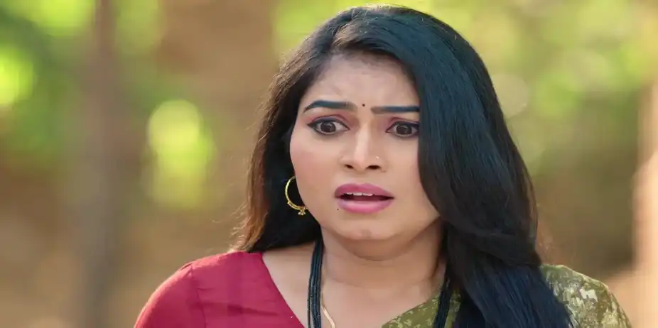 Savalyachi Janu Savali - April 20, 2026 - Best Scene