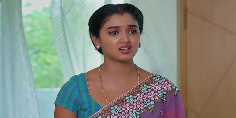 Meghasandesam - April 29, 2026 - Best Scene