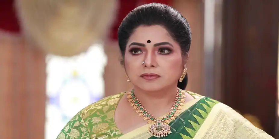 Meena Disapproves of Janakambal's Decision