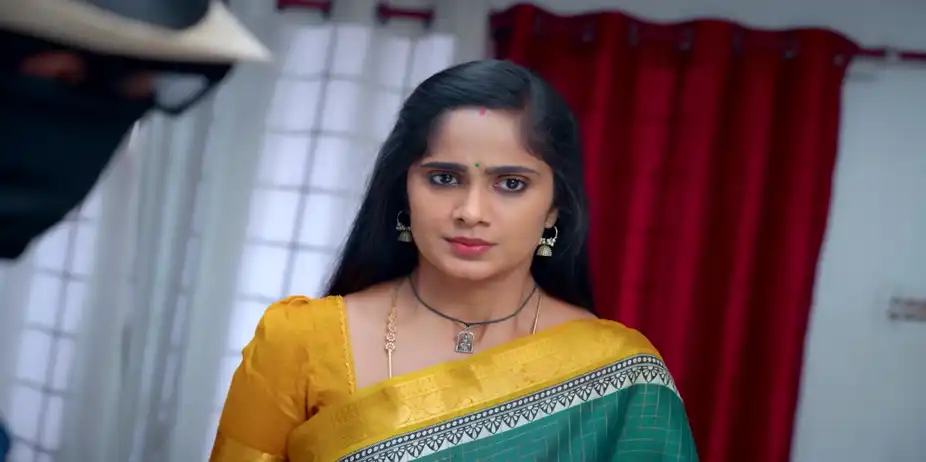Ayali - 11 May, 2026