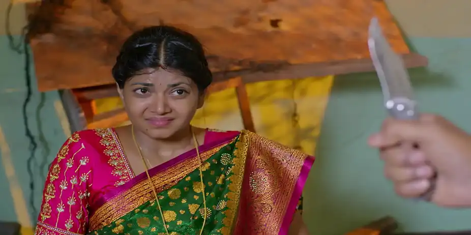 Kalavaari Kodalu Kanakamahalakshmi - May 05, 2026 - Episode Spoiler