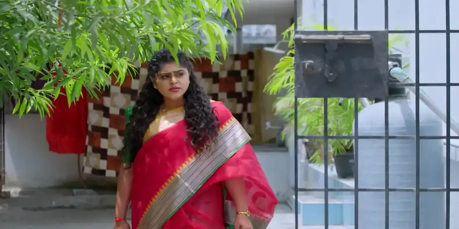 Lakshmi and Thiru Get in Trouble - Thirumangalyam