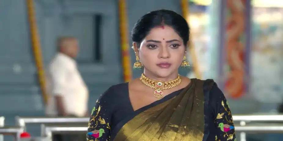 Will Karthikeyan's Arrival Foil Chamundeshwari's Plan? - Karthigai Deepam