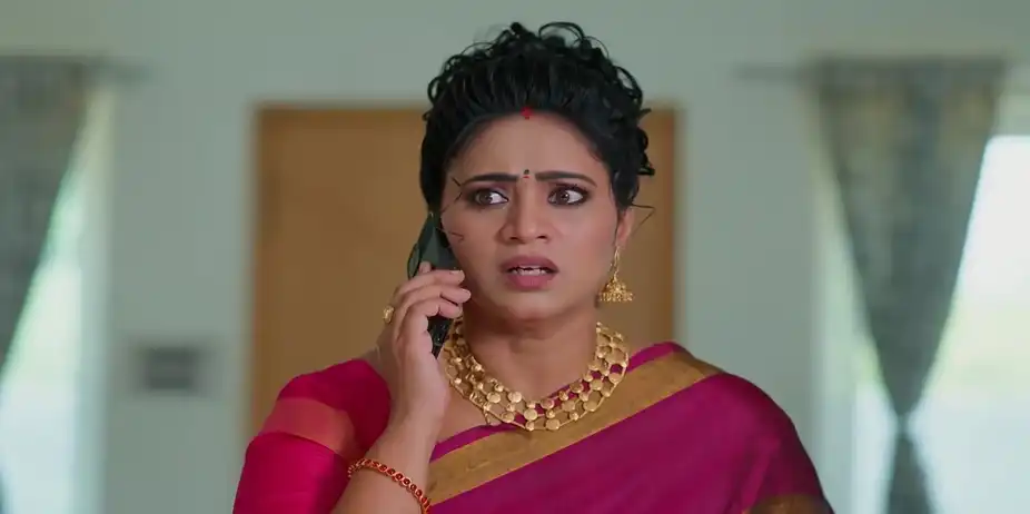 Meghasandesam - May 16, 2026 - Best Scene