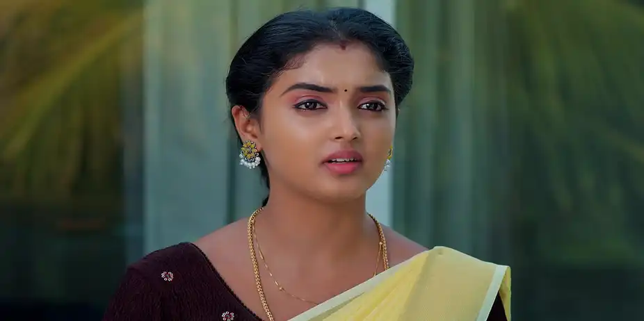 Meghasandesam - May 13, 2026 - Episode Spoiler