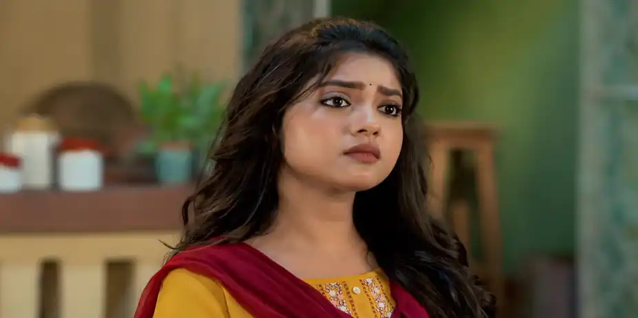 Pradip's Advice to Shubho Bothers Shree - Saat Pake Bandha