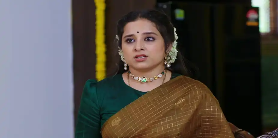 Lakshmi Nivasa - May 13, 2026 - Episode Spoiler