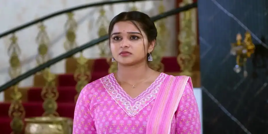 Rukku is Surprised by Krishna’s Actions - Krishna Rukku
