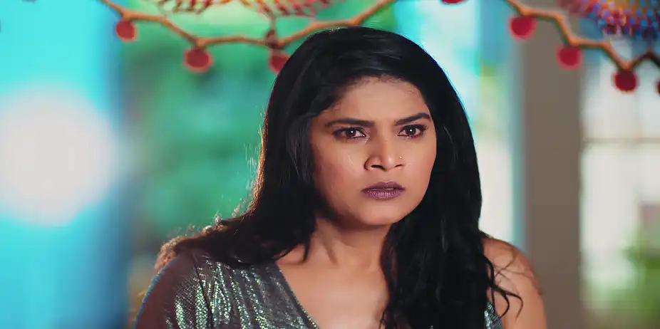Lakshmi Niwas - May 24, 2026 - Episode Spoiler