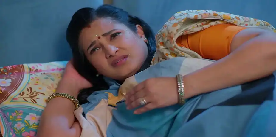 Meghasandesam - May 18, 2026 - Best Scene