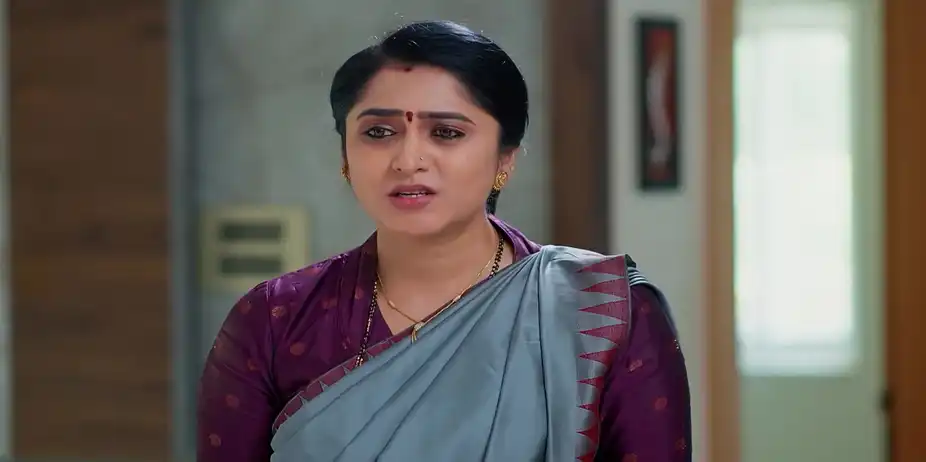 Meghasandesam - May 19, 2026 - Best Scene