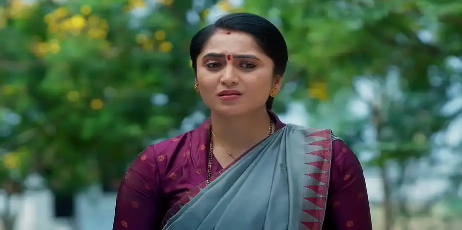 Meghasandesam - May 21, 2026 - Best Scene
