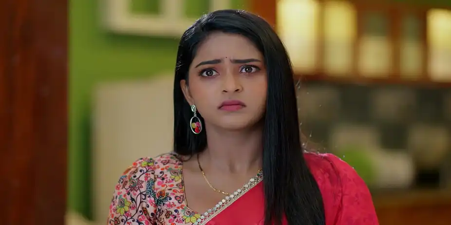 Lakshmi Nivasam - May 19, 2026 - Episode Spoiler
