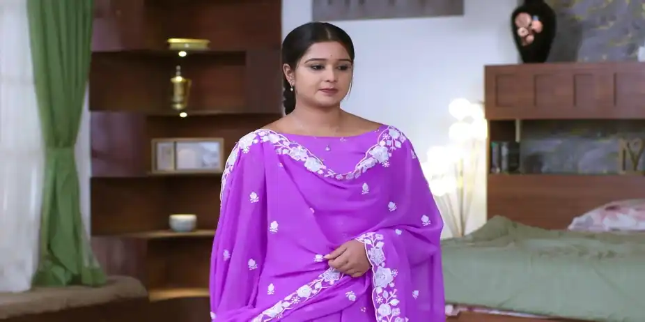 Rukku Takes Charge of Krishna - Krishna Rukku