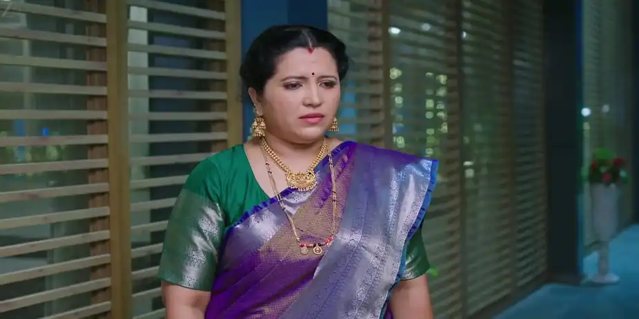 Lakshmi Advises Vimala - Lakshmi Nivasa