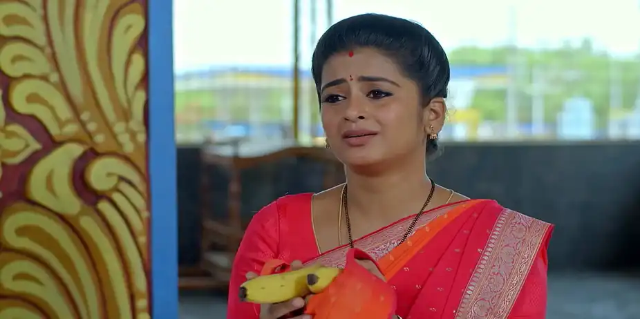 Dheerga Sumangali Bhava - May 20, 2026 - Best Scene