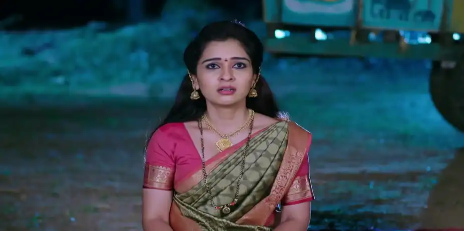 Parvathi Arranges an Emotional Reunion - Annayya