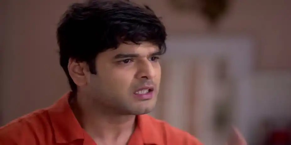 Rayan Parul's Involvement in the Plan - Parineeta