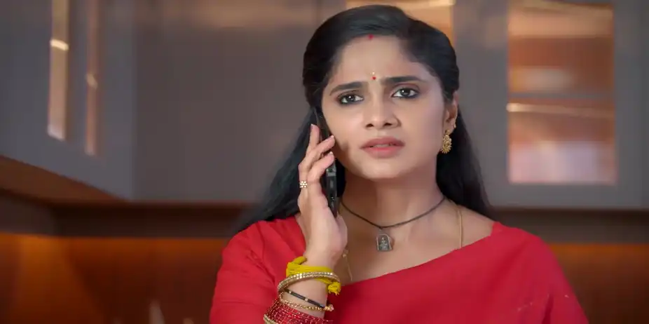 Ayali Faces Dilemma - Ayali