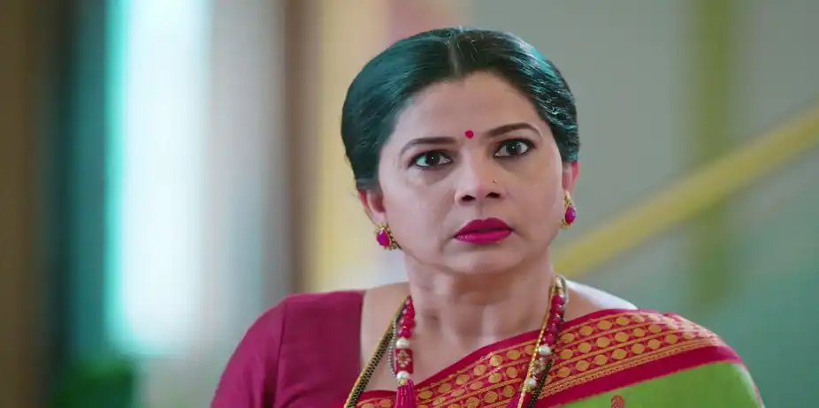 Savalyachi Janu Savali - May 29, 2026 - Best Scene