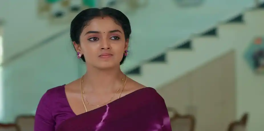 Meghasandesam - May 29, 2026 - Episode Spoiler