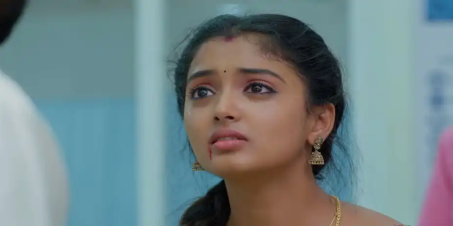 Meghasandesam - June 03, 2026 - Best Scene